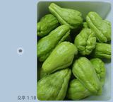 팜모닝 장터이야기·자유게시판 게시글 이미지