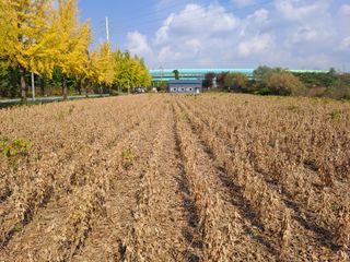 이학만님의 [팜춘문예] 짧은 시 쓰기 · 참여글 작성글 사진