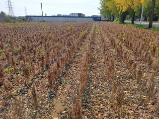 이학만님의 [팜춘문예] 짧은 시 쓰기 · 참여글 작성글 사진