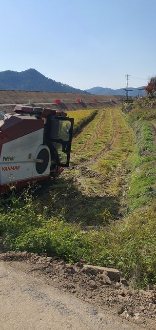 이윤기님의 벼 · 영농일지 작성글 사진