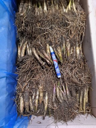 이기현님의 작성글 사진