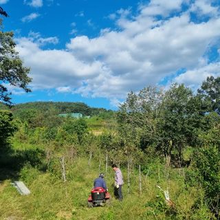 김란령님의 [팜춘문예] 짧은 시 쓰기 · 참여글 작성글 사진
