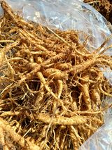 팜모닝 · 게시글 이미지