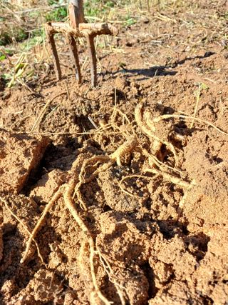 임오빈님의 작성글 사진