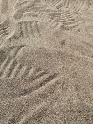 류남열님의 들깨 · 영농일지 작성글 사진