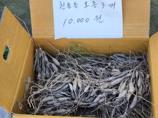 이창신님의 자유주제 · 자유게시판 작성글 사진