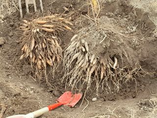 이창신님의 자유주제 · 자유게시판 작성글 사진