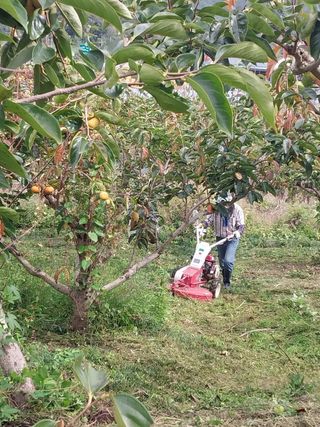 문산농부님의 [팜춘문예] 짧은 시 쓰기 · 참여글 작성글 사진