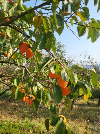 우설강(희택)님의 작성글 사진