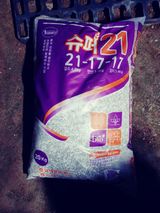 팜모닝 자유주제·자유게시판 게시글 이미지