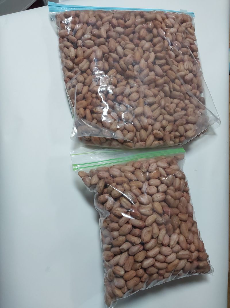 배추21430님의 장터 판매 상품 [여주 알땅콩 1000kg] 첨부 사진