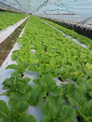 고두윤님의 작성글 사진