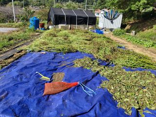 오희자님의 [팜춘문예] 짧은 시 쓰기 · 참여글 작성글 사진