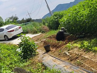 오희자님의 [팜춘문예] 짧은 시 쓰기 · 참여글 작성글 사진