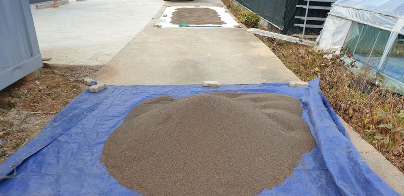 장터 상품 [2023년산 햇 들깨 &참깨 ] 썸네일