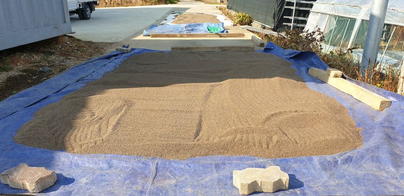 잡곡류님의 장터 판매 상품 [2023년산 햇 들깨 &참깨 ] 첨부 사진