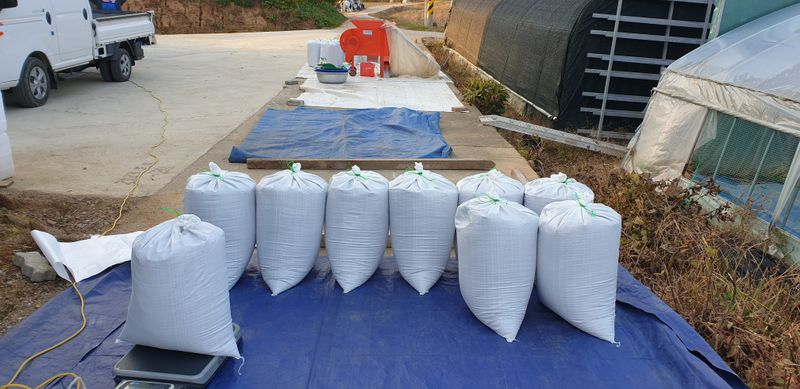 잡곡류님의 장터 판매 상품 [2023년산 햇 들깨 &참깨 ] 첨부 사진