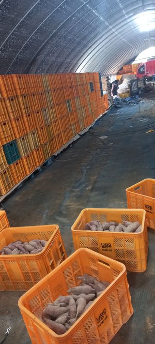 강성분님의 작성글 사진