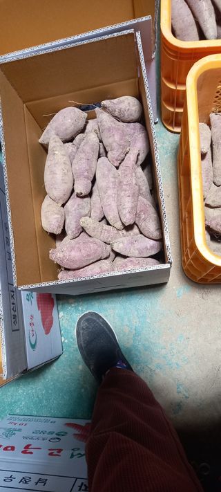 강성분님의 작성글 사진