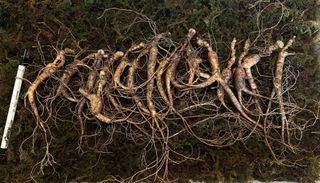 진상빈님의 작성글 사진