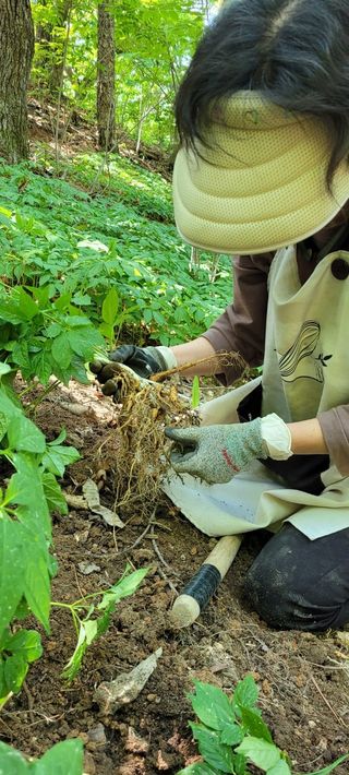 진상빈님의 작성글 사진
