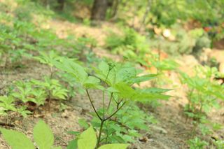 진상빈님의 작성글 사진