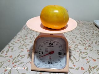 강남진님의 감 · 자유게시판 작성글 사진