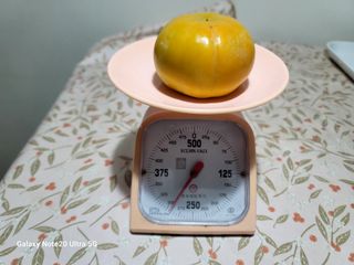 강남진님의 감 · 자유게시판 작성글 사진