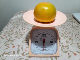 강남진님의 감 · 자유게시판 작성글 사진