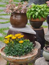 팜모닝 [팜춘문예] 짧은 시 쓰기·참여글 게시글 이미지