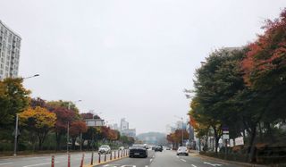 손정아님의 [팜춘문예] 짧은 시 쓰기 · 참여글 작성글 사진