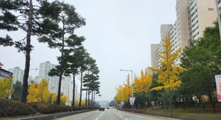 손정아님의 [팜춘문예] 짧은 시 쓰기 · 참여글 작성글 사진