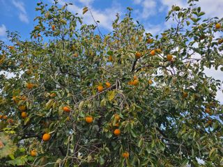 김계희님의 [팜춘문예] 짧은 시 쓰기 · 참여글 작성글 사진