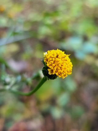 김서린님의 [팜춘문예] 짧은 시 쓰기 · 참여글 작성글 사진