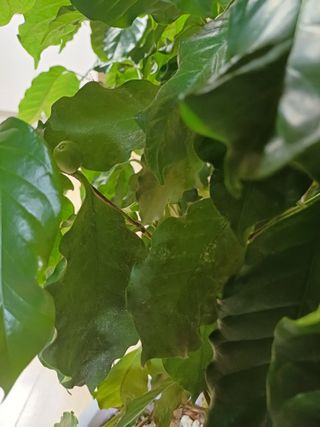 연진님의 작성글 사진