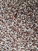 팜모닝 · 게시글 이미지