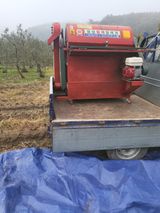 팜모닝 들깨·영농일지 게시글 이미지