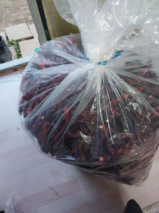 Byh6905님의 토마토 · 영농일지 작성글 사진