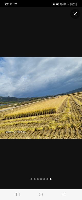 장유경만점자님의 [팜춘문예] 짧은 시 쓰기 · 참여글 작성글 사진