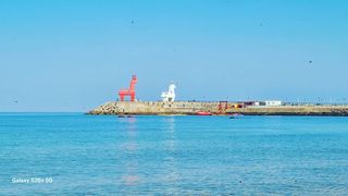 오정현님의 귤 · 수확 작성글 사진