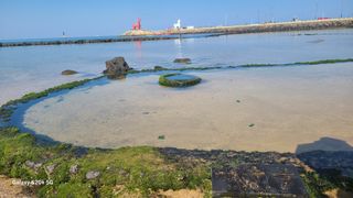 오정현님의 귤 · 수확 작성글 사진