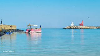 오정현님의 귤 · 수확 작성글 사진