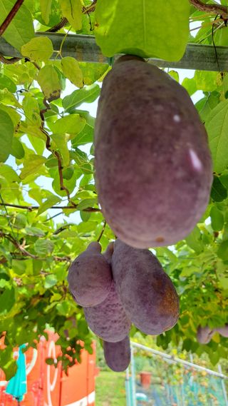 주윤발이님의 자유주제 · 자유게시판 작성글 사진