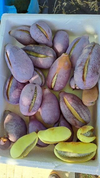 주윤발이님의 자유주제 · 자유게시판 작성글 사진