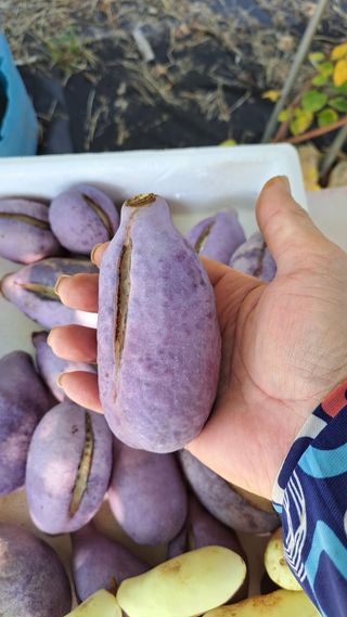 주윤발이님의 자유주제 · 자유게시판 작성글 사진