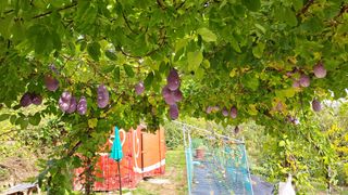 주윤발이님의 자유주제 · 자유게시판 작성글 사진