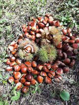 팜모닝 [팜춘문예] 짧은 시 쓰기·참여글 게시글 이미지