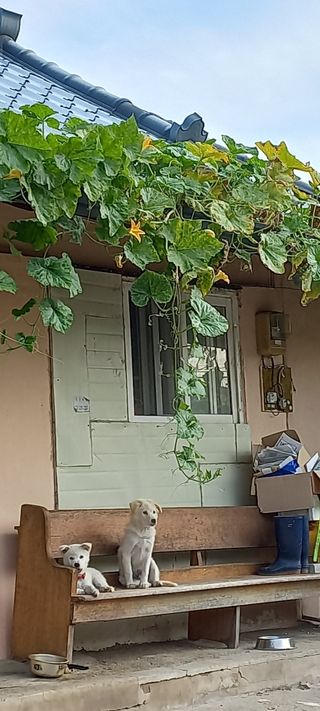 이경빈님의 [팜춘문예] 짧은 시 쓰기 · 참여글 작성글 사진