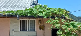 이경빈님의 [팜춘문예] 짧은 시 쓰기 · 참여글 작성글 사진