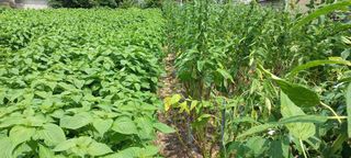 이경빈님의 [팜춘문예] 짧은 시 쓰기 · 참여글 작성글 사진